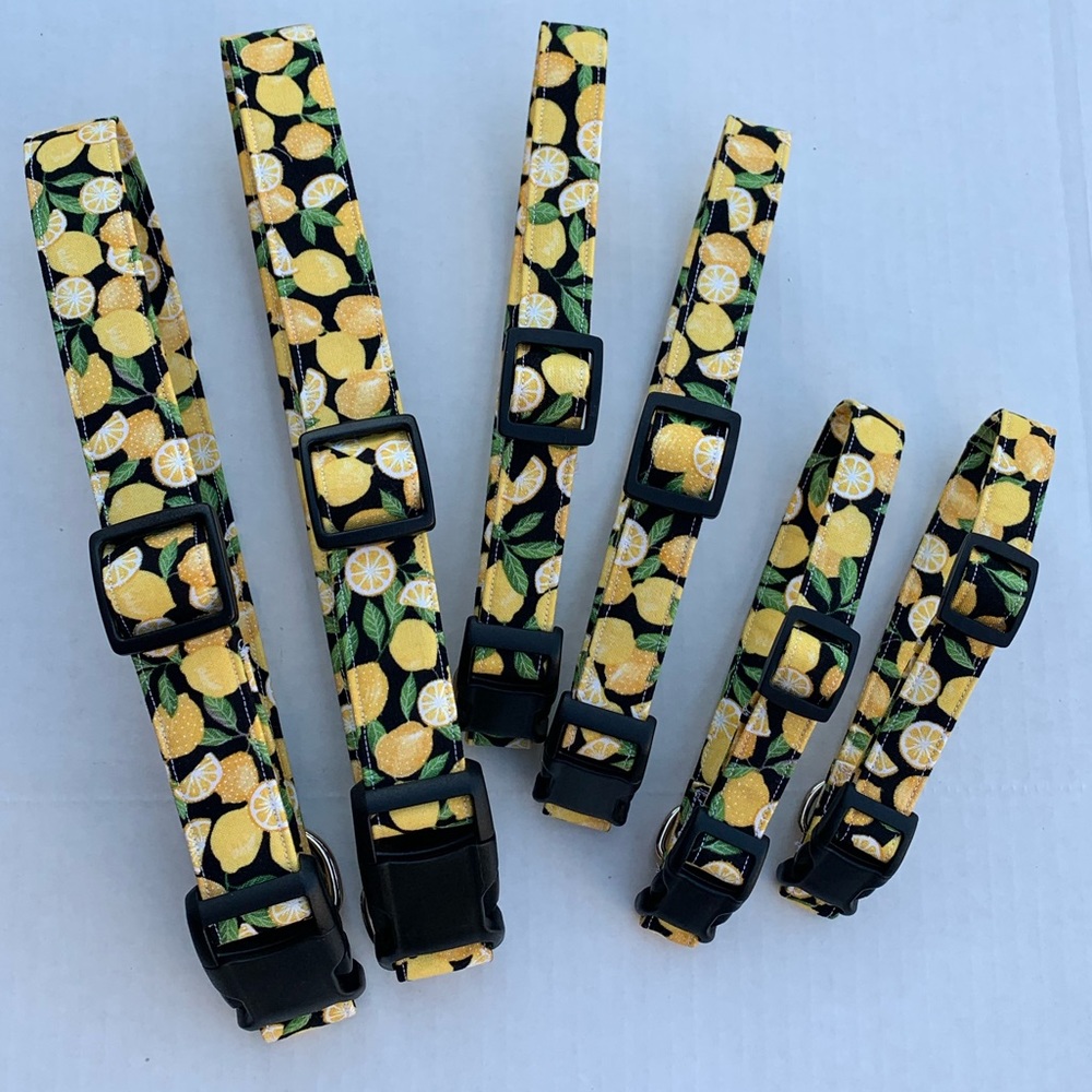 Handcrafted lemon themed fashion dog collars
